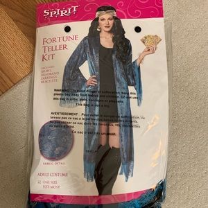 fortune teller halloween costume